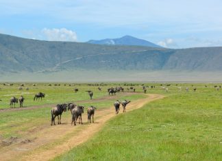 10 cele mai bune tari de vizitat in Africa