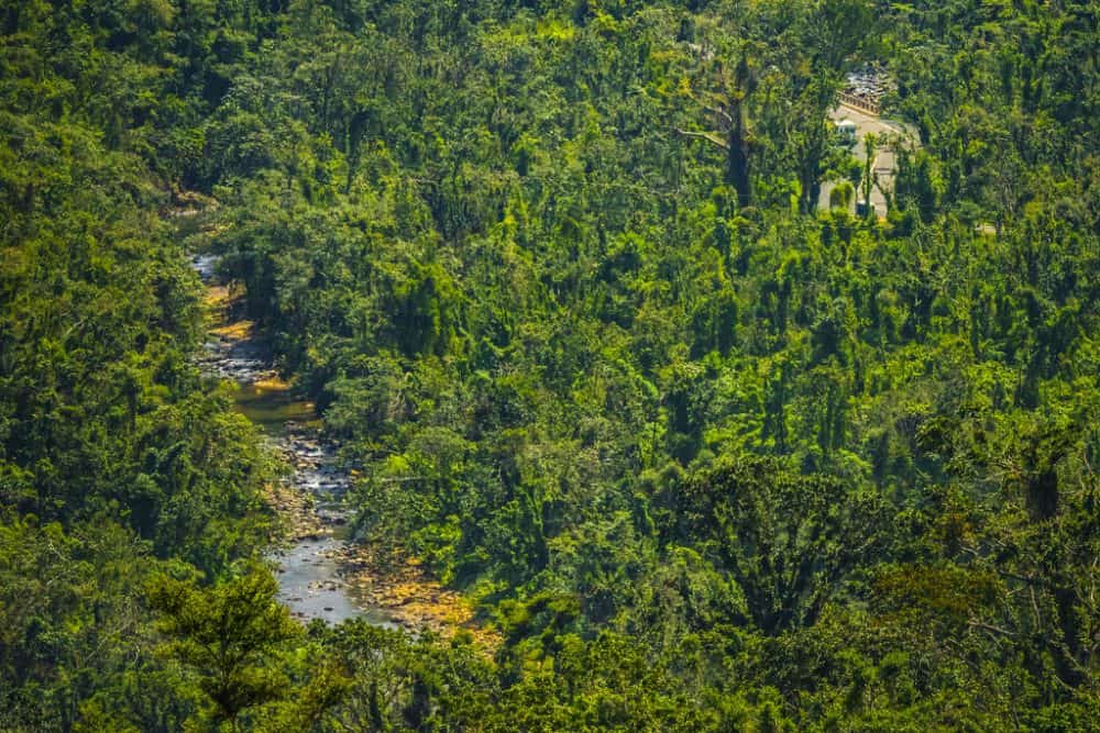 Padurea Nationala El Yunque