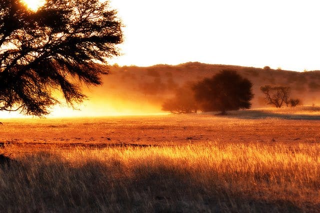 Kgalagadi