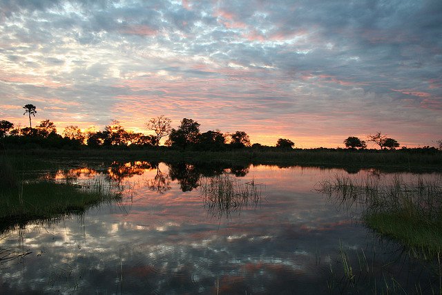 Delta Okavango