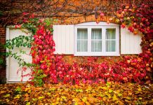 Top 20 cele mai bune locuri de vizitat in Marea Britanie in toamna