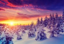 Top 21 cele mai frumoase locuri de vizitat in Elvetia
