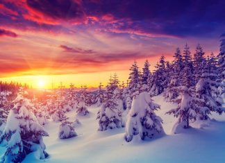 Top 21 cele mai frumoase locuri de vizitat in Elvetia