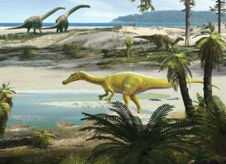 10 state cu cele mai multe descoperiri de dinozauri